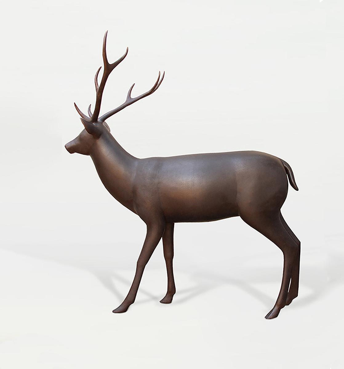 Deer 8