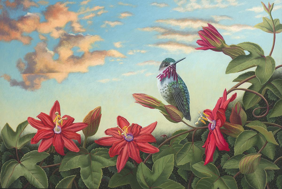 Hummingbird and Passionflower