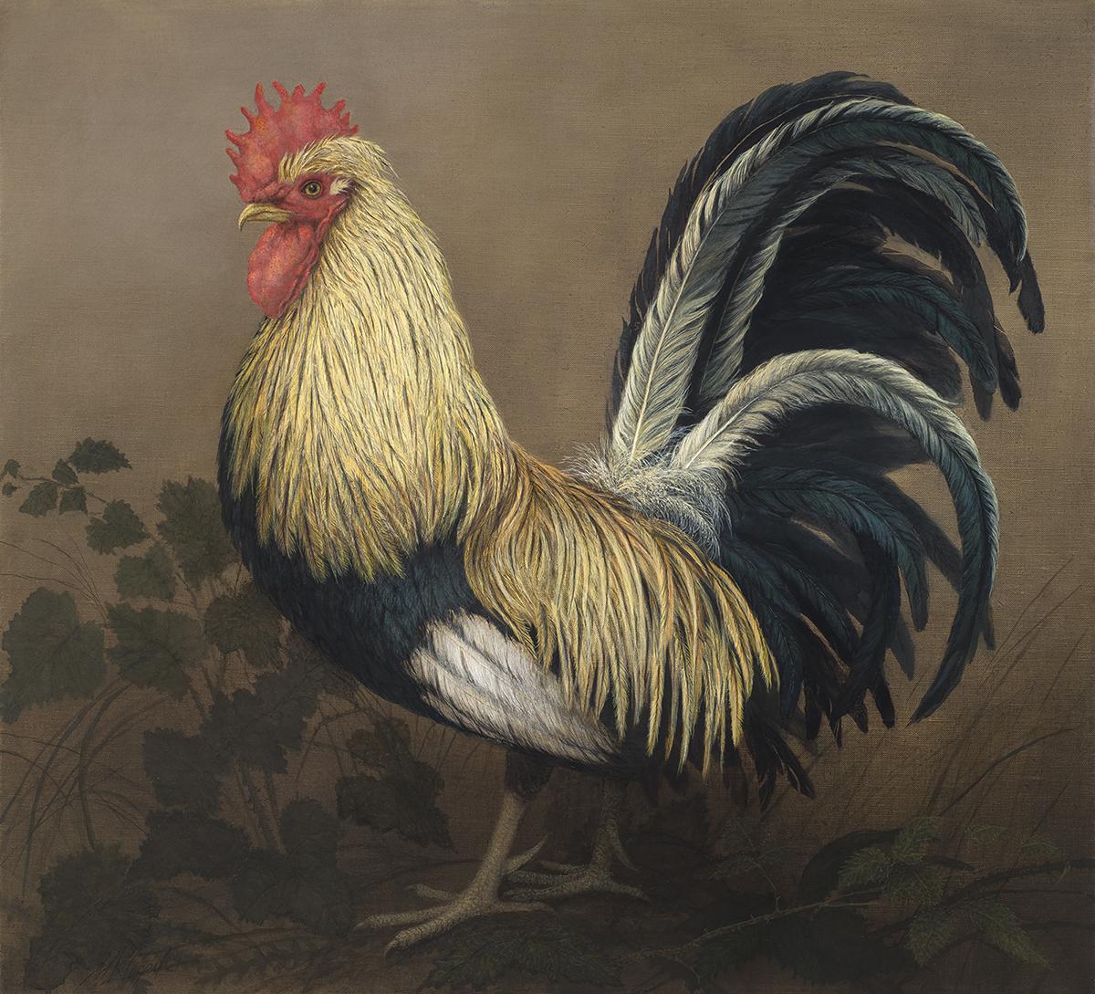 Rooster - SOLD