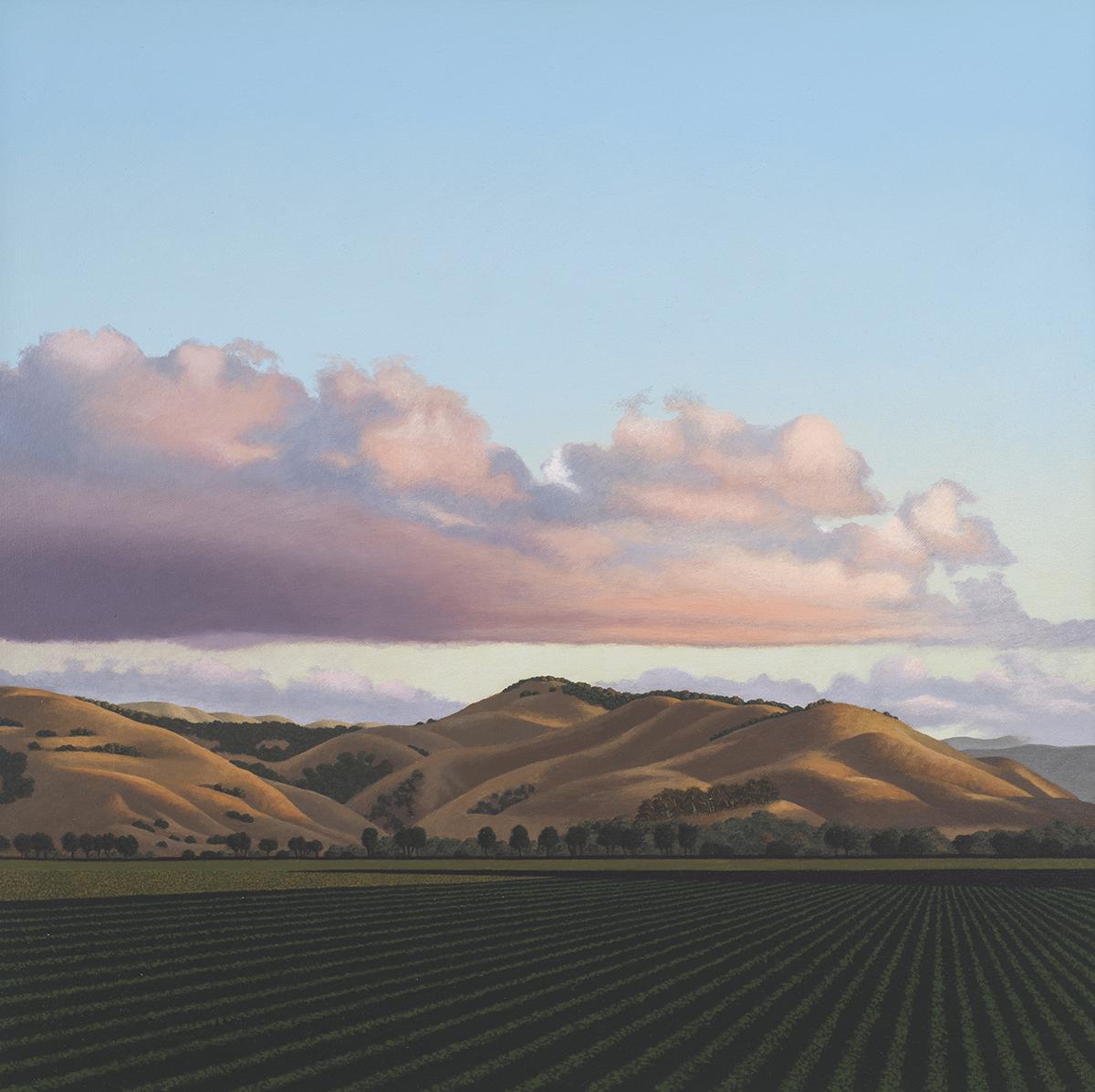 Agriculture Rows off Hwy 68