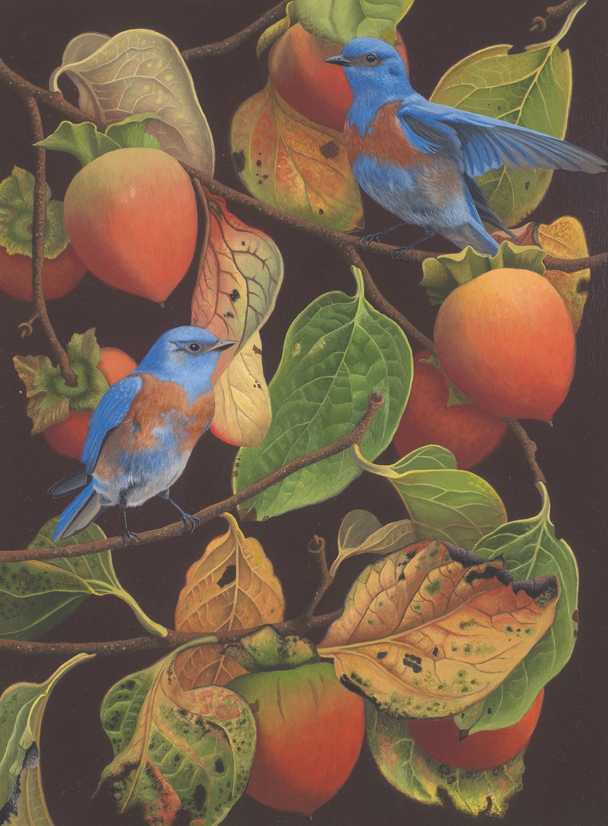 Bluebirds and Persimmons by Andrea Johnson