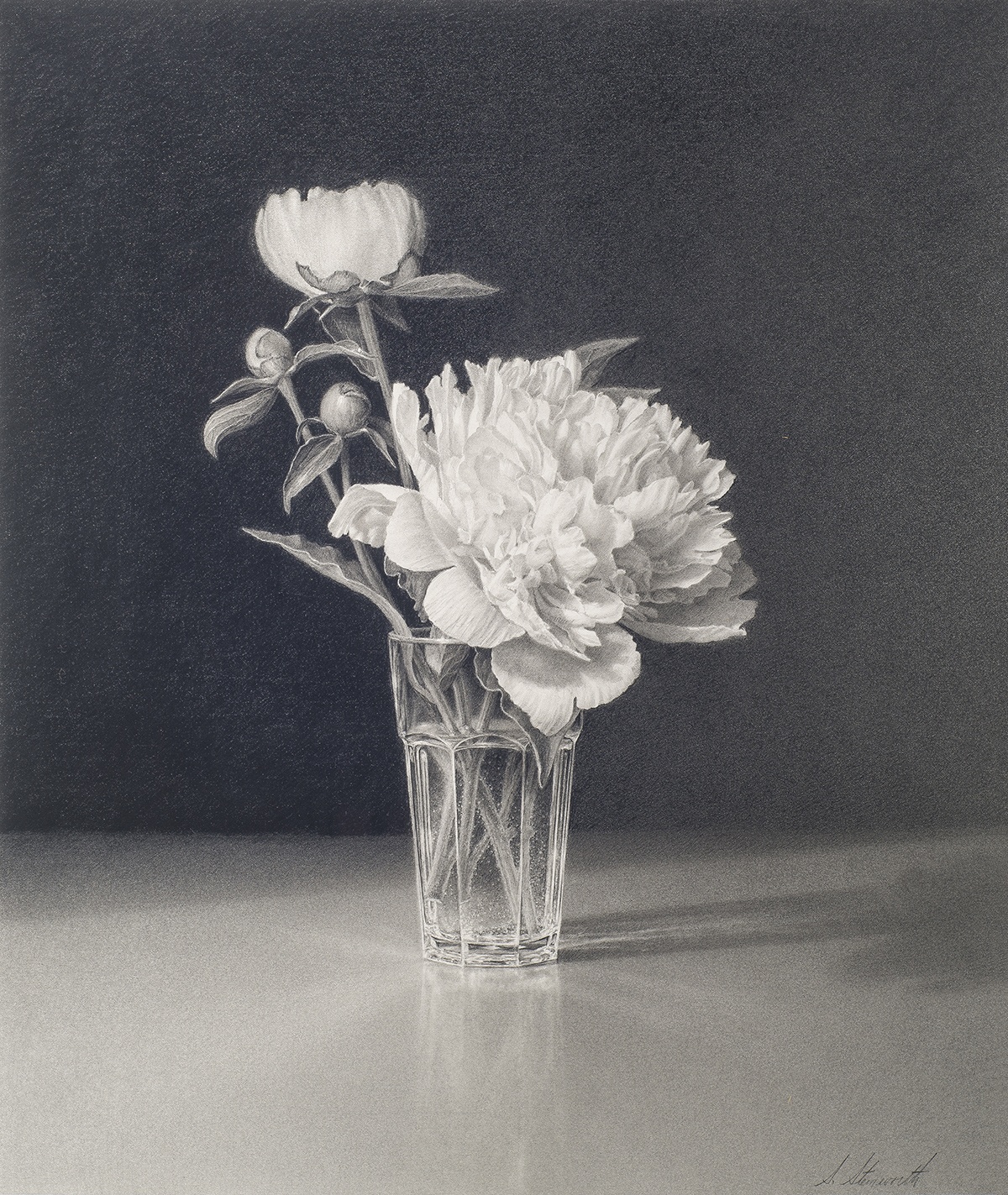 Peony No.1 by Skip Steinworth