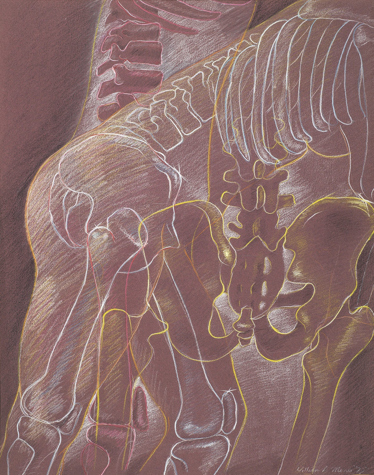 Untitled Drawing by William Morris