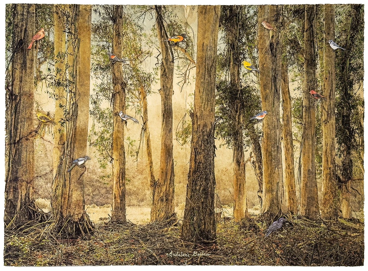 Audubons Garden by Brian Taylor