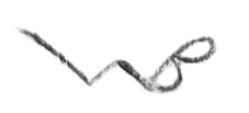 David Williams Bulkeley Signature