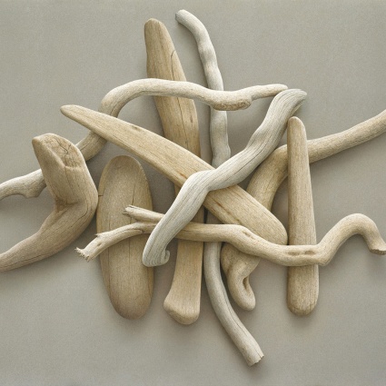 Compass by Alan Magee