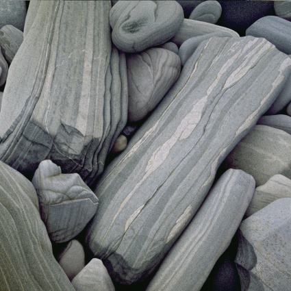 The Others by Alan Magee