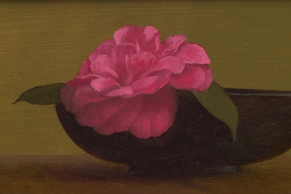 Pink Camillia by Jonathan Koch